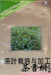 Ҷӹ±ũ¸飩